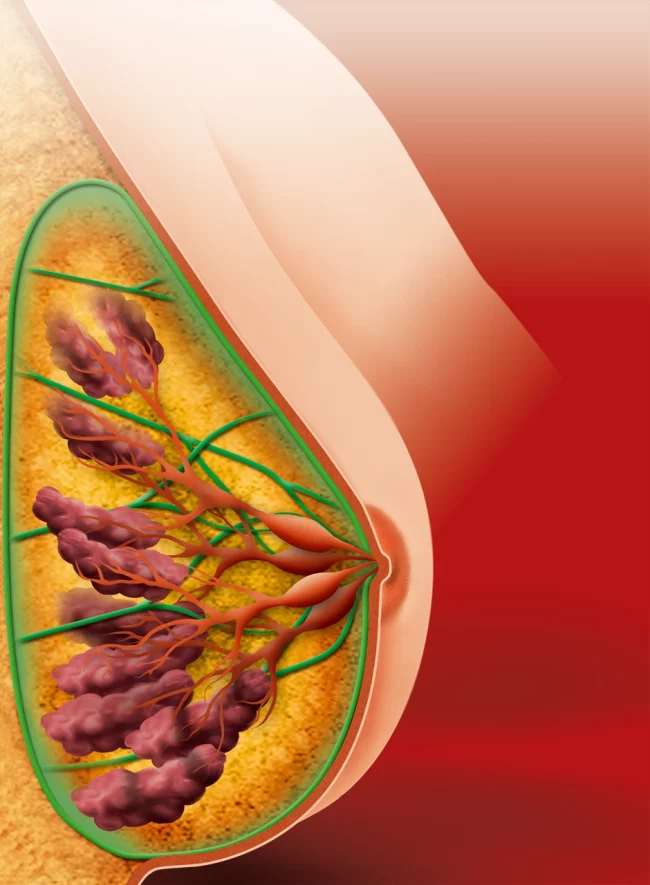 Εικονογράφηση
